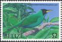 Green Honeycreeper (Chlorophanes spiza)